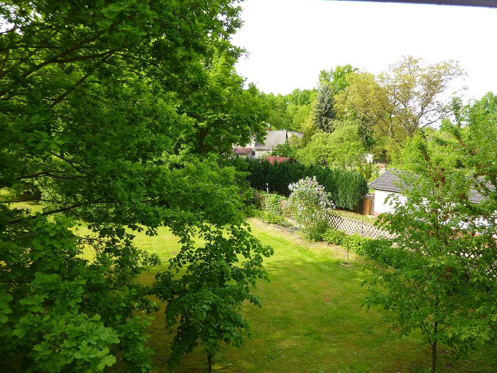 Ferienwohnungen Burger Nachtigall Burg  Oda fotoğraf
